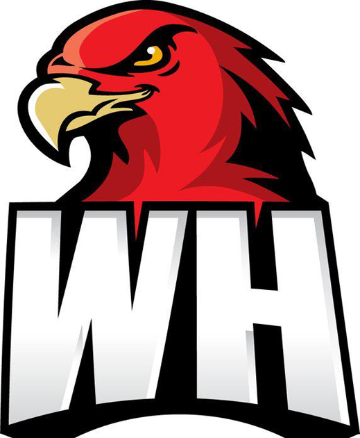 Wollongong Hawks 2008-Pres Secondary Logo iron on heat transfer